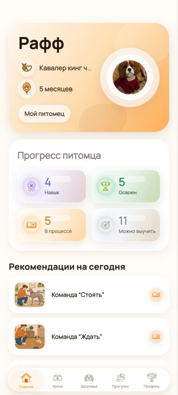 Главный экран приложения Рафф