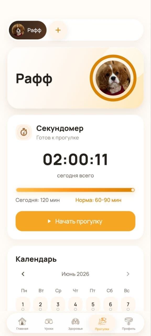 Прогулки в приложении Рафф